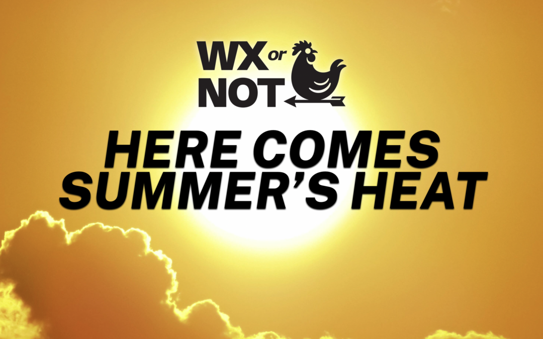 WABBLES WEEKEND: Summer heat settles in